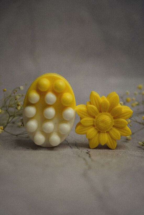 Komplekts - LIEPZIEDI