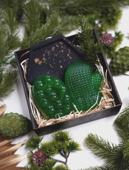 Komplekts - PIPARMĒTRA