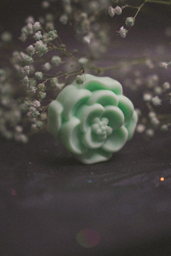 Ziepes - MAIJPUĶĪŠU ZIEDS