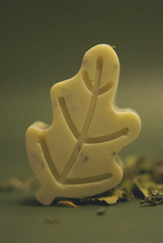 Ziepes - PIPARMĒTRAS OZOLLAPA