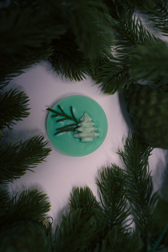 Vaska aromiņš - EGĻU MEŽS