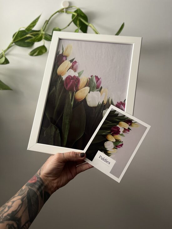 Foto rāmī - Tulpes