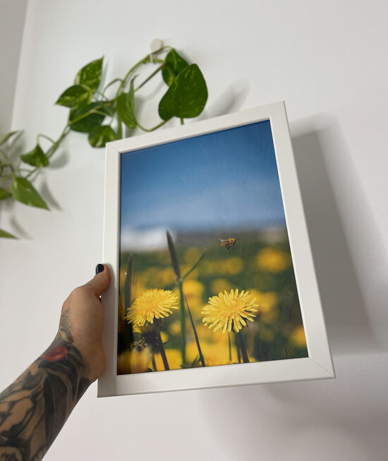 Foto rāmī - Bitīte